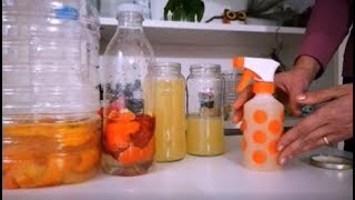 🍊 DETERGENTE eco casero con CITRICOS y Reutilizable 🍋 [upl. by Notaes]