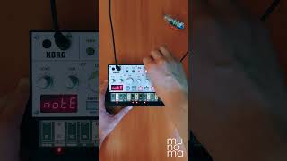 Donna Summer  I Feel Love  Volca Bass korg synthmusic [upl. by Hudnut]