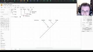 Making Cladograms with Diagramsnet [upl. by Yzzik]