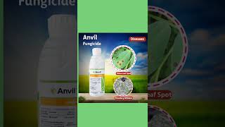 हेक्साकोनाज़ोल 5�। Hexaconazole 5� Sygenta anvil fungicide sygenta fungicides [upl. by Nydroj473]