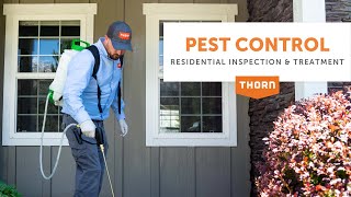 Keep Your Home Pest Free with Thorn Pest Solutions [upl. by Harbed34]