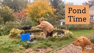 Autumn Pond Maintenance  Prepping The Pond For Winter 🍂 [upl. by Lennaj484]