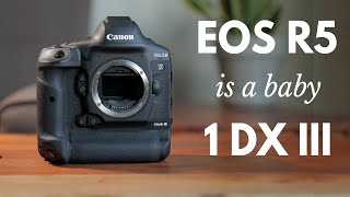 Canon EOS R5  What The 1DX III Tells Us About It [upl. by Truda]