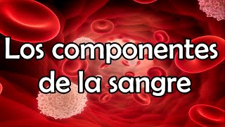 Los componentes de la sangre [upl. by Horatius653]