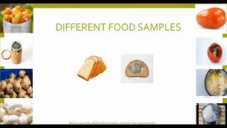 Microbiological Examination of Food  Food Microbiology Dr Smriri Bajpai [upl. by Tedie851]