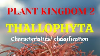 Thallophyta algal kingdom characteristics amp classification in detail [upl. by Ycat]