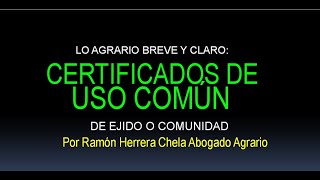 CERTIFICADO DE USO COMÚN todo lo que necesitas saber [upl. by Aivartal]