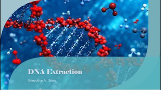 DNA Extraction [upl. by Jonny]