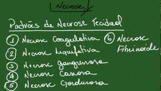 Necrose Apoptose Pigmentações e Calcificações  Resumo  Patologia Geral [upl. by Ahcorb]