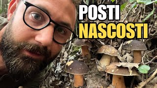 PORCINI ZANZARE E VECCHI RICORDI porcini funghi [upl. by Brianna802]