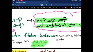 Biochemistry Lipid Metabolism second year part 6 [upl. by Mufi]