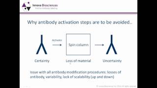 Antibody Labeling Webinar Antibody conjugation methods  which one is best for you [upl. by Nilesoj]