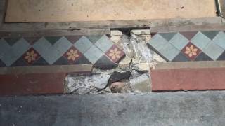 EdwardianVictorianGeomatricQuarry Floor Cleaning Sealing amp Restoration [upl. by Tarryn]