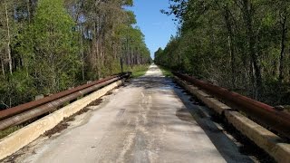 Stories From The Ride  Exploring the Osceola National Forest [upl. by Freddi]