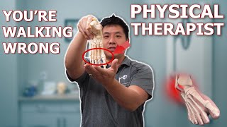 Proper Foot Strike  Walking Running  Physical Therapist Teaches [upl. by Ynatterb]