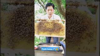 Extreme Honeycomb harvesting 🍯Harvesting honey from beehive 🐝 EP123 beekeeping trending shorts [upl. by Parks]