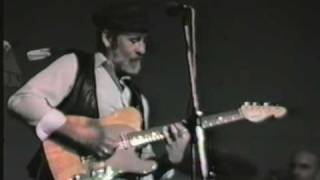 Roy Buchanan  Honky Tonk [upl. by Mharg]