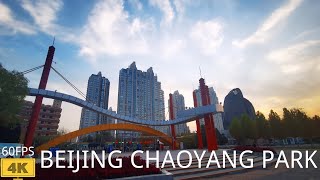 【4K 60fps】Walking in Beijing Chaoyang Park Autumn  北京朝阳公园散步 [upl. by Lodnar]