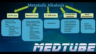 Metabolic Alkalosis Made Easy [upl. by Enitsahc]