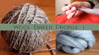 Hand Spinning Different Breeds Corriedale Wool Profile [upl. by Amargo146]