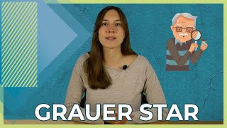 Grauer Star  Kurz erklärt  Symptome und Behandlung [upl. by Annaer93]