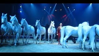 Weihnachtszirkus Stuttgart 20152016  Pferdekarussell mit 23 Pferden  Weltstars in der Manege [upl. by Atinna]