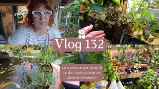 VLOG 132🌿NETTOYAGE et ENTRETIEN🌱Jenlève 3 plantes dans la véranda  Je navance pas dans le jardin [upl. by Laird335]