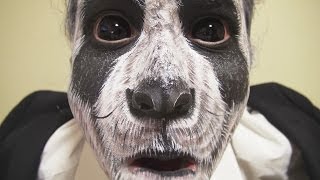 メイクでパンダ再現してみた。Makeup transformation Panda [upl. by Synn]