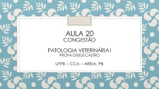 Aula 20 Congestão Pato 1 [upl. by Nnyrat631]