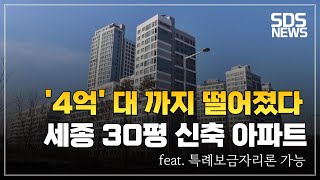 45억대 세종 30평대 신축 부동산ㅣ세종 가성비 아파트 [upl. by Meldoh]