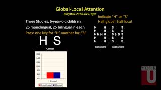 York Circle  Bilingualism Brain and Behaviour Whats the Connection [upl. by Ayo485]