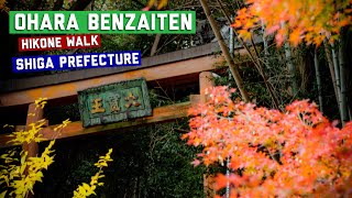 Hikone Walk Ohara Benzaiten [upl. by Stutman]