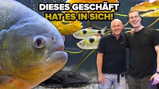 Die große SÜSSWASSERAQUARIUMTOUR bei Stephan in Freiburg [upl. by Romain]