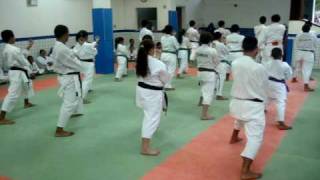 Wong KarateDo ShorinRyu SHIN SHU KAN [upl. by Nolrah971]