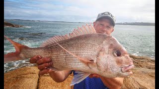 Western Port Land Based Snapper [upl. by Pressey]