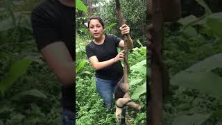 Wildlife Rescue Center Volunteering Costa Rica [upl. by Anurag]