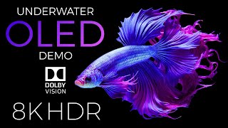 Underwater World OLED Demo HDR 8K Ultra HD Dolby Vision™ 60fps [upl. by Nnyleimaj]