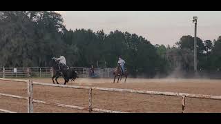 roping event  micanopy florida [upl. by Shlomo]