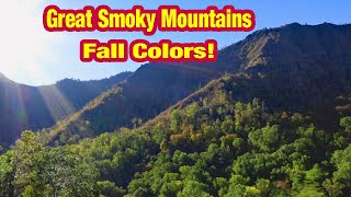 Great Smoky Mountains Fall Colors [upl. by Annam]