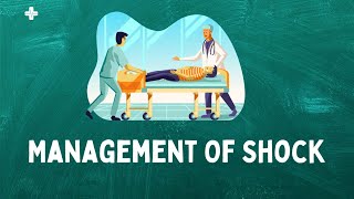 Management of Shock in emergency department ICU [upl. by Ojyma662]