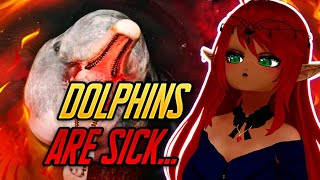 DOLPHINS GOT ISSUES  Casual Geographic Reaction [upl. by Lenzi213]