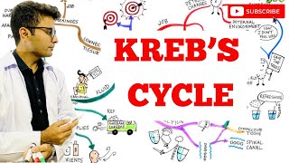 Krebs Cycle Made Easy [upl. by Albert]