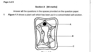 2011 Biology Paper 2 Question 1 fully answered [upl. by Auburta]