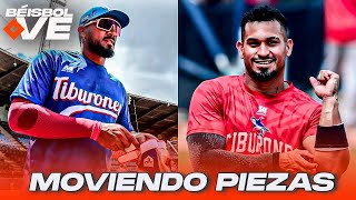 LVBP Tiburones confirma a Franklin Barreto ¿Danry Vásquez en el mercado  DIAMANTE 23 BÉISBOL VE [upl. by Ariamat]