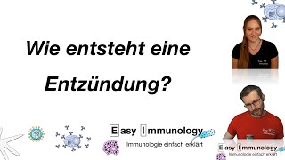 Season 7 Entzündung Wie entsteht eine Entzündung Zelluläre Ebene [upl. by Akeber]