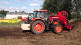 Spreading with new triffitt muck spreader and mf 5455 [upl. by Yolanda214]