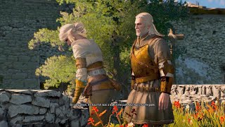 The Witcher 3 Wild Hunt [upl. by Trebuh]