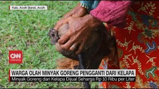 Warga Olah Minyak Goreng Pengganti dari Kelapa [upl. by Yrnehnhoj600]