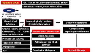 15  Carcinogenesis [upl. by Xyla200]