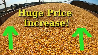 High Commodity Prices  High Food Prices [upl. by Merfe]